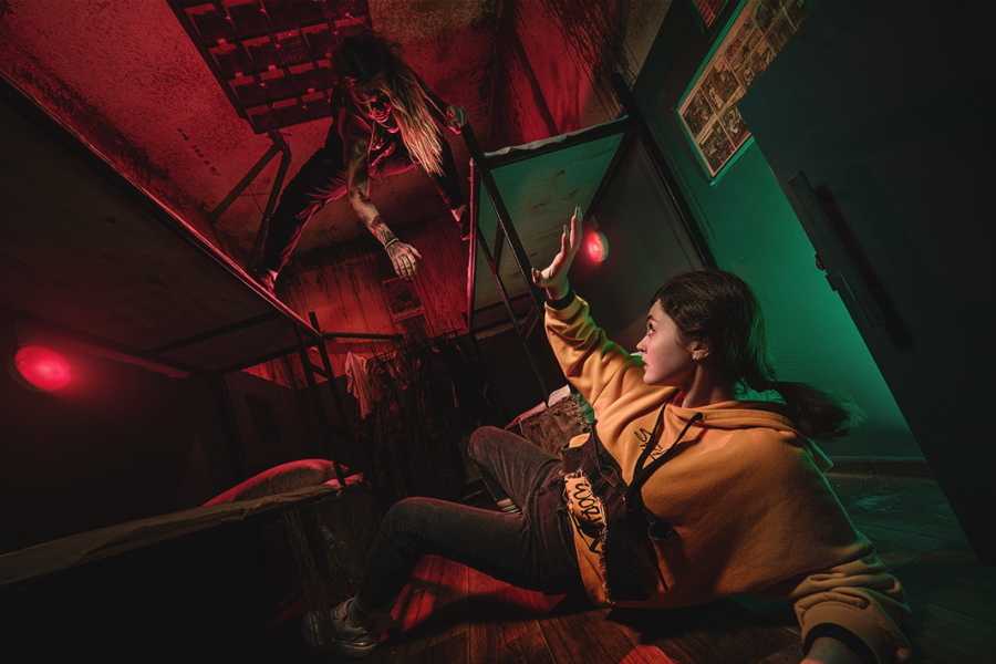 Квест в реальности Вирус от компании Паника Квест в реальности Вирус от компании Паника